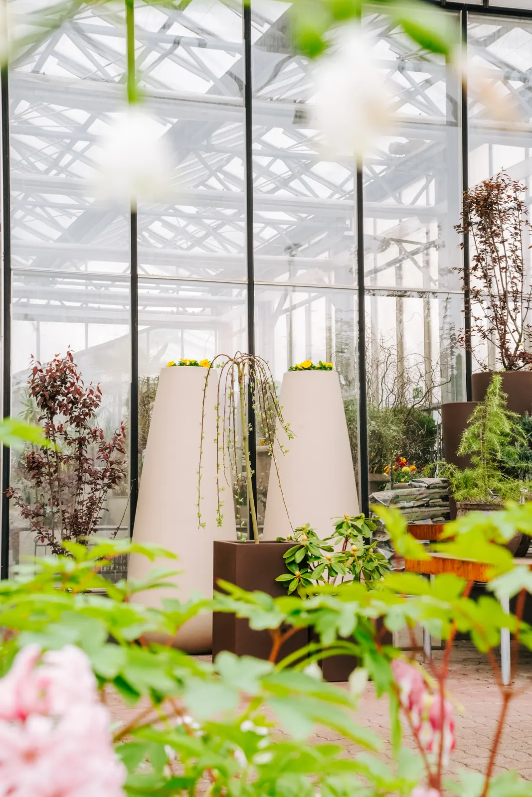 Großgefäße im Glashaus zwischen Pflanzen